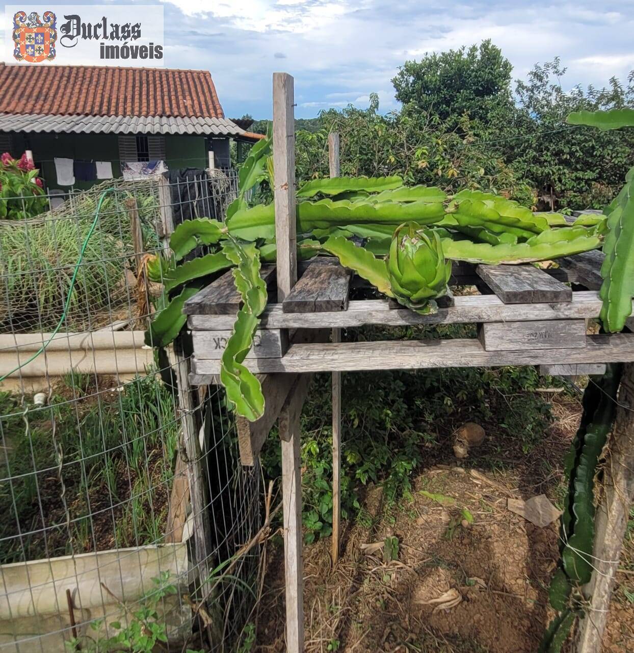 Fazenda à venda com 2 quartos, 44500m² - Foto 33