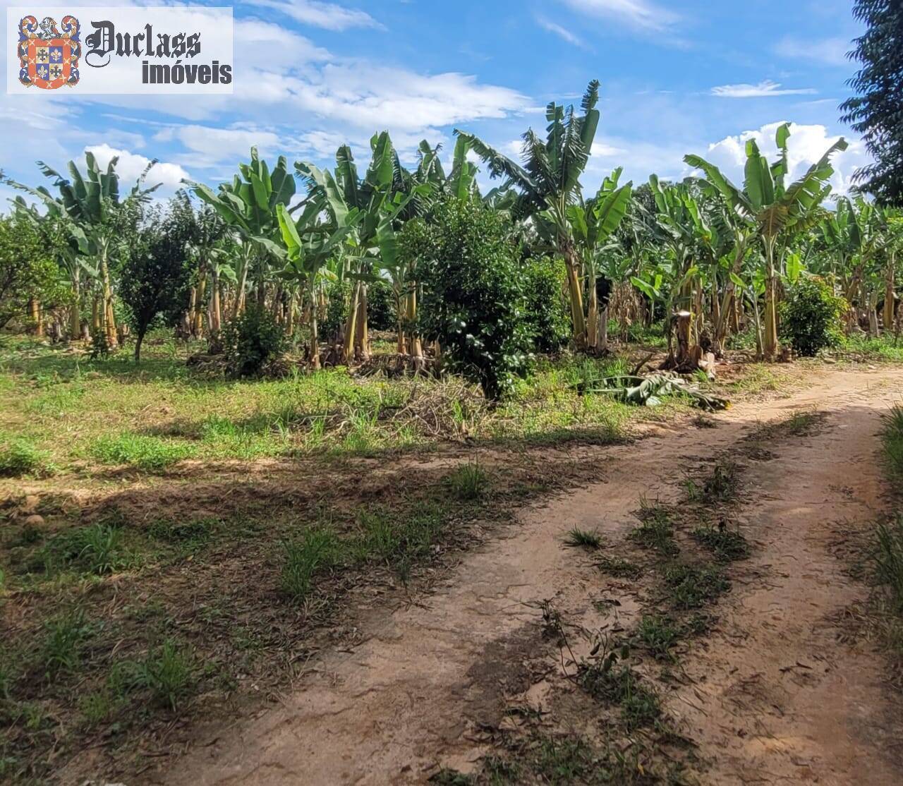 Fazenda à venda com 2 quartos, 44500m² - Foto 38