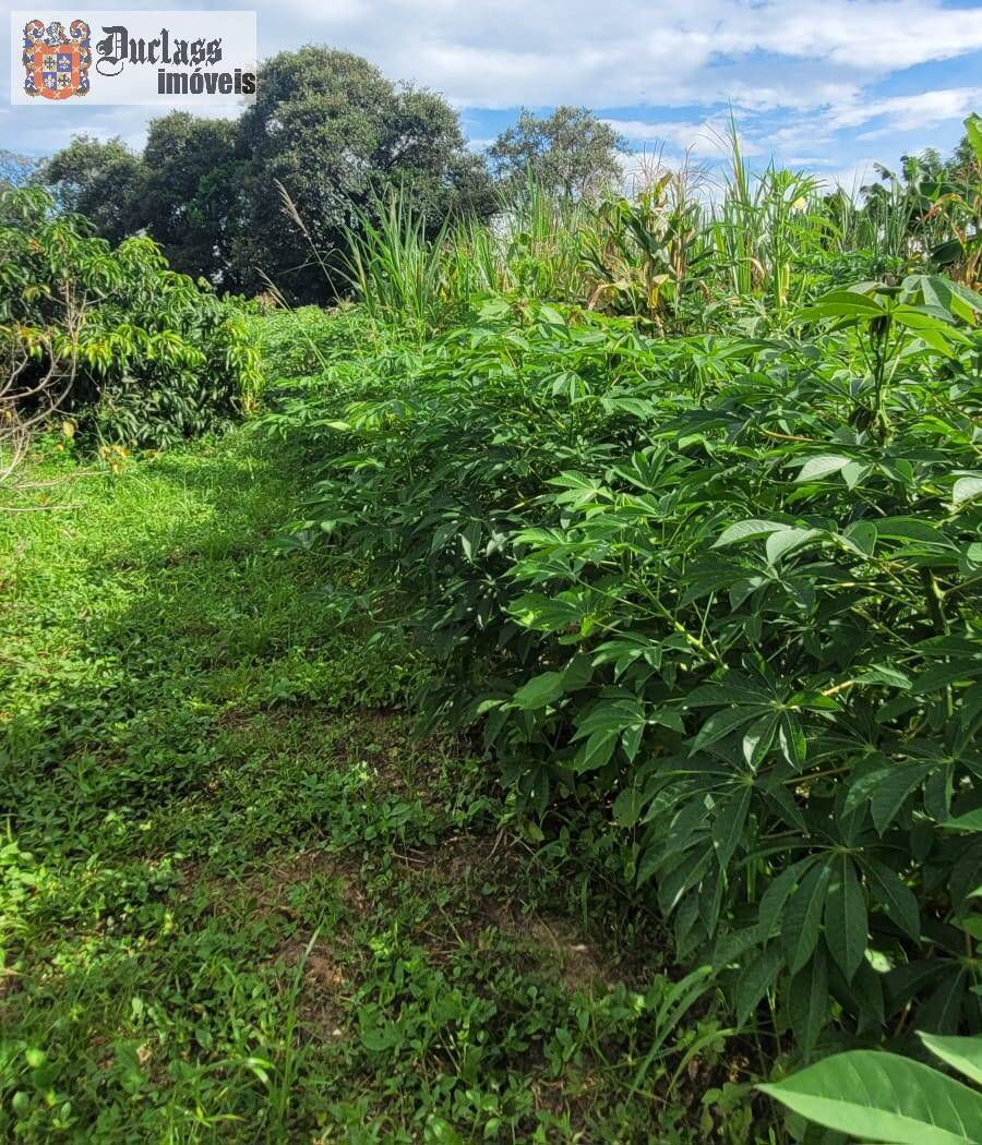 Fazenda à venda com 2 quartos, 44500m² - Foto 37