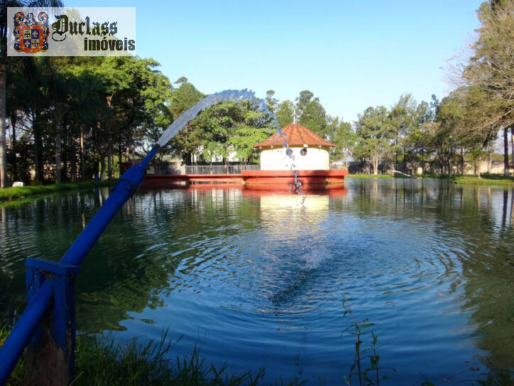 Fazenda à venda com 5 quartos, 3000m² - Foto 2