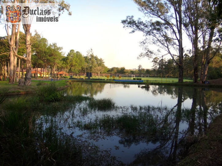 Fazenda à venda com 5 quartos, 3000m² - Foto 36