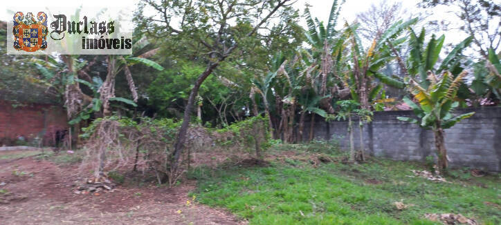 Terreno à venda, 2000m² - Foto 4