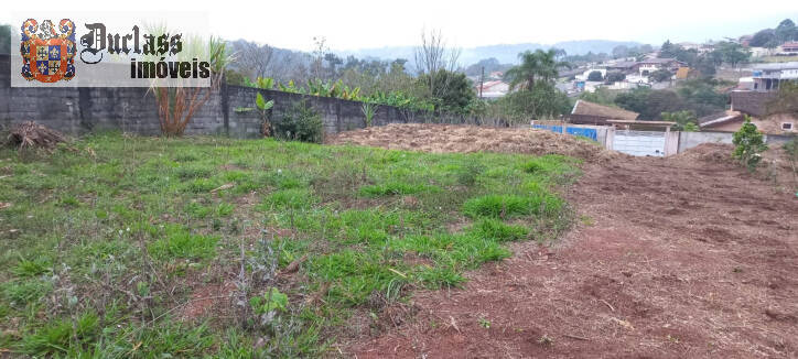 Terreno à venda, 2000m² - Foto 6