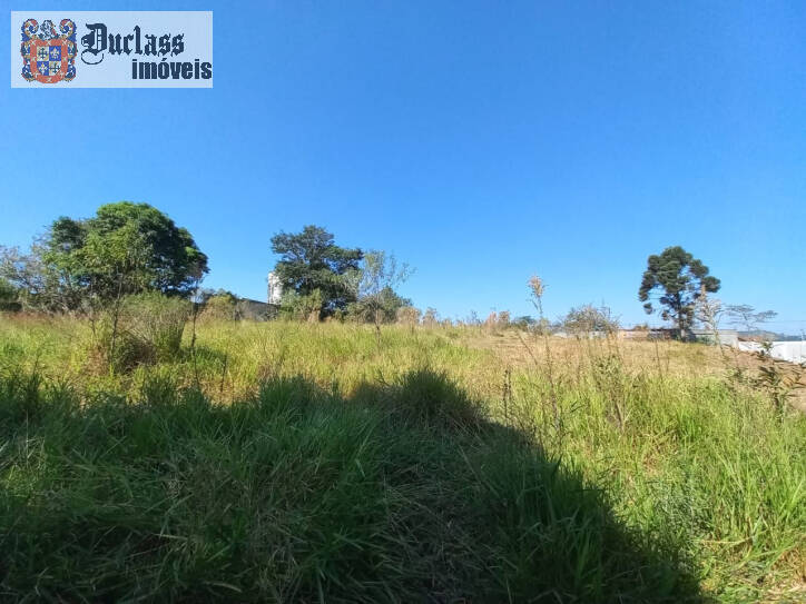 Terreno à venda, 1960m² - Foto 1