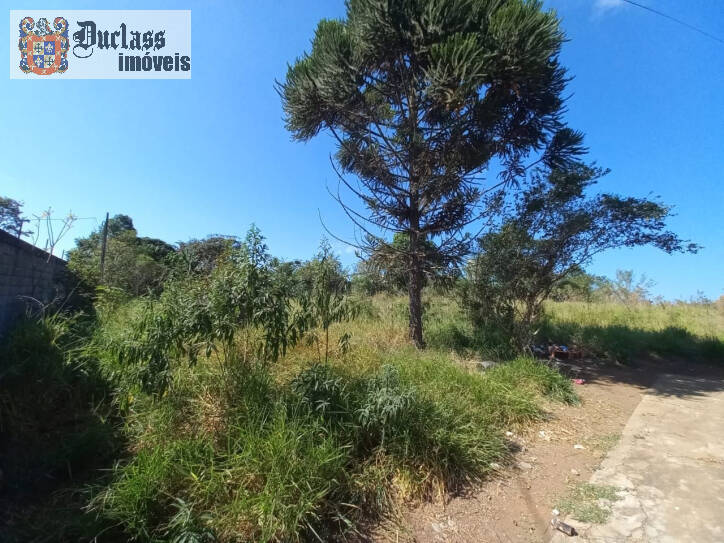 Terreno à venda, 1960m² - Foto 2