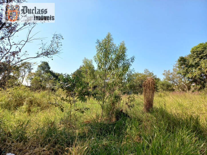 Terreno à venda, 1960m² - Foto 3