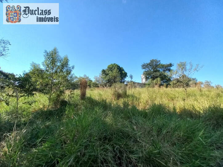 Terreno à venda, 1960m² - Foto 4