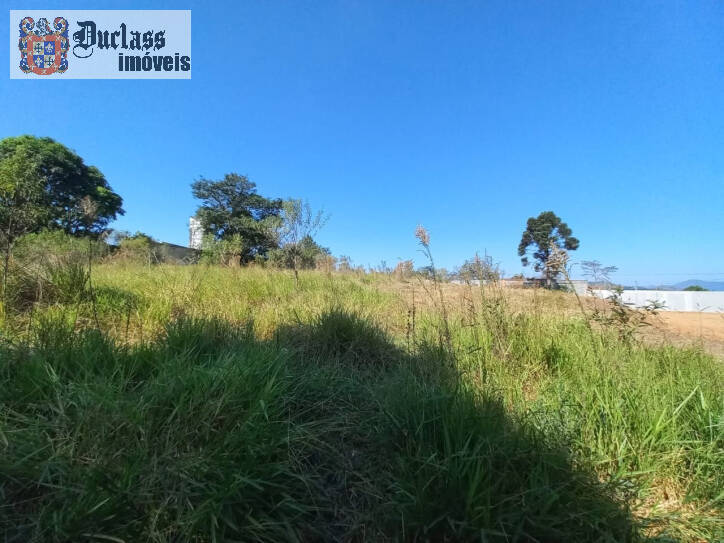 Terreno à venda, 1960m² - Foto 5