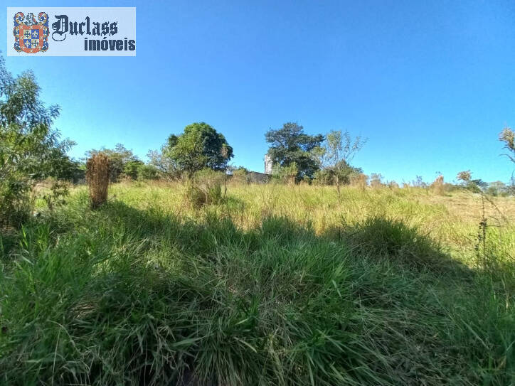 Terreno à venda, 1960m² - Foto 6