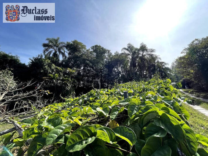 Fazenda à venda com 8 quartos, 34463m² - Foto 74