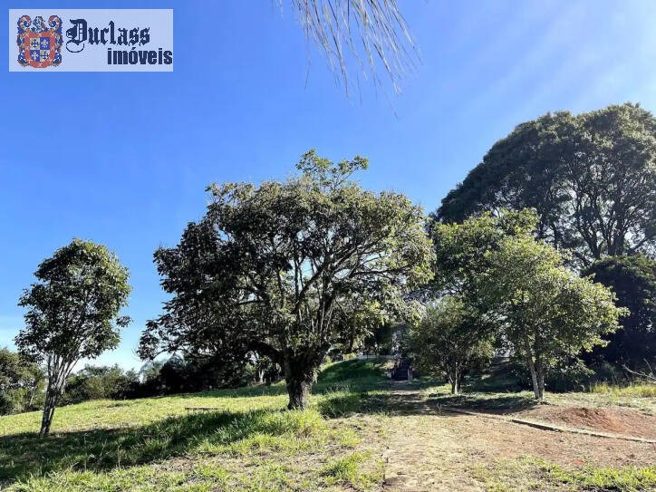 Fazenda à venda com 8 quartos, 34463m² - Foto 80