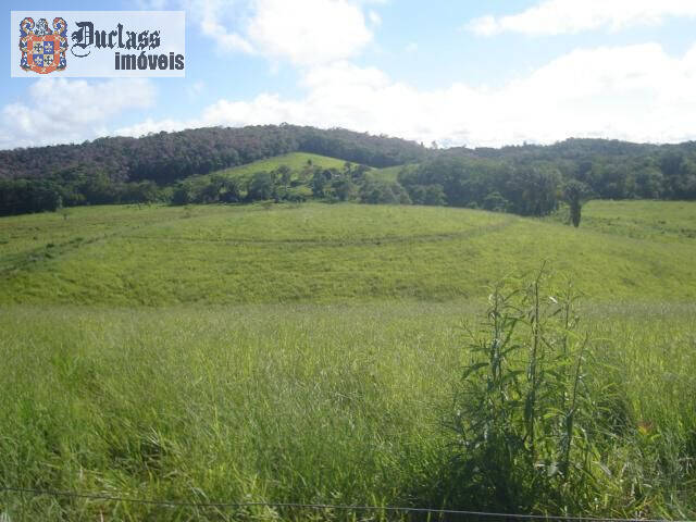 Terreno à venda, 194154m² - Foto 7