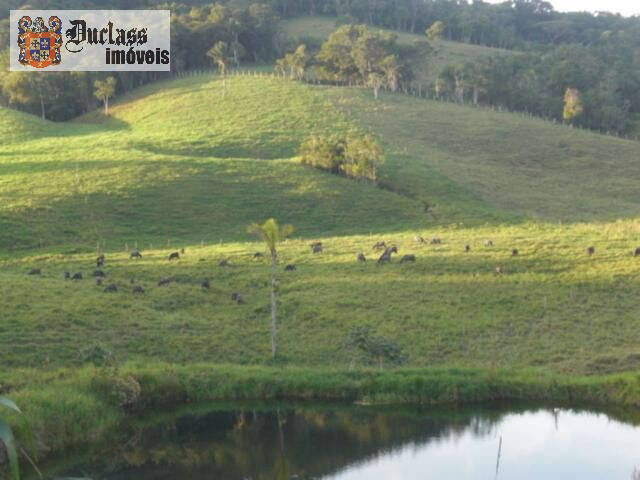 Terreno à venda, 194154m² - Foto 11