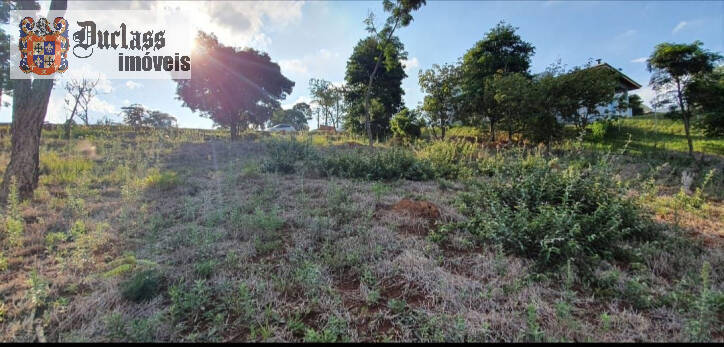 Terreno à venda, 1000m² - Foto 4