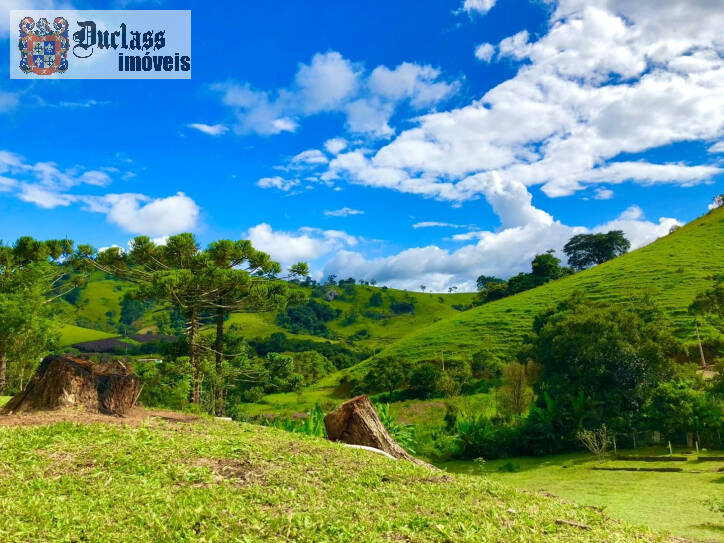 Fazenda à venda com 2 quartos, 200m² - Foto 25