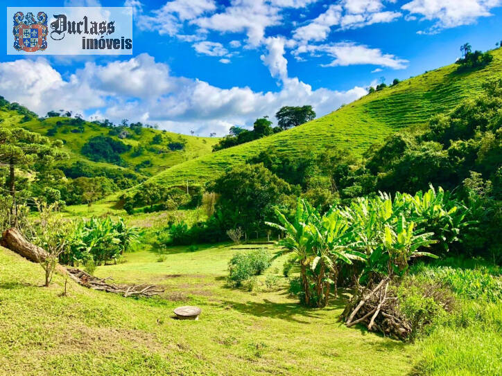 Fazenda à venda com 2 quartos, 200m² - Foto 29