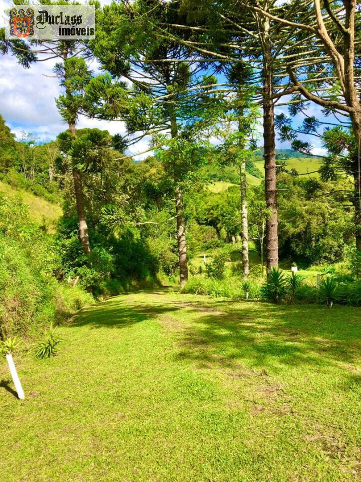 Fazenda à venda com 2 quartos, 200m² - Foto 30