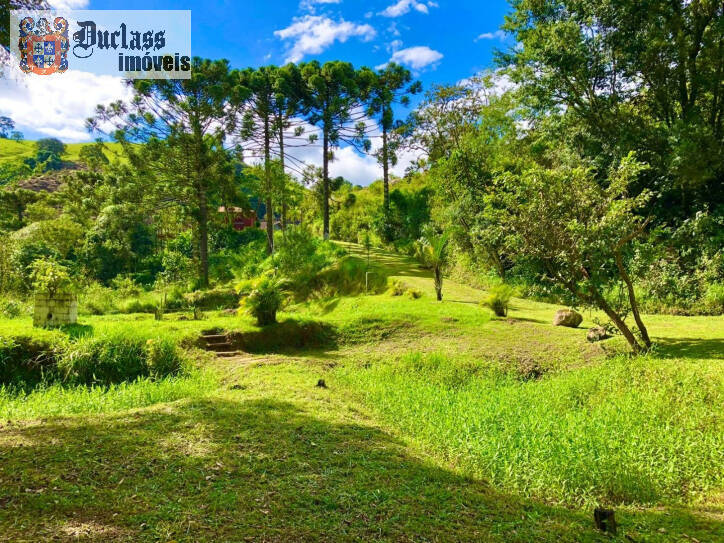 Fazenda à venda com 2 quartos, 200m² - Foto 34