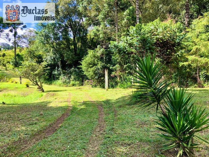 Fazenda à venda com 2 quartos, 200m² - Foto 35