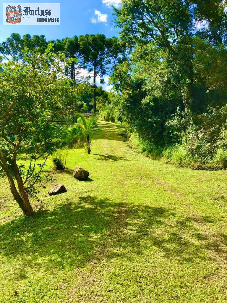 Fazenda à venda com 2 quartos, 200m² - Foto 36