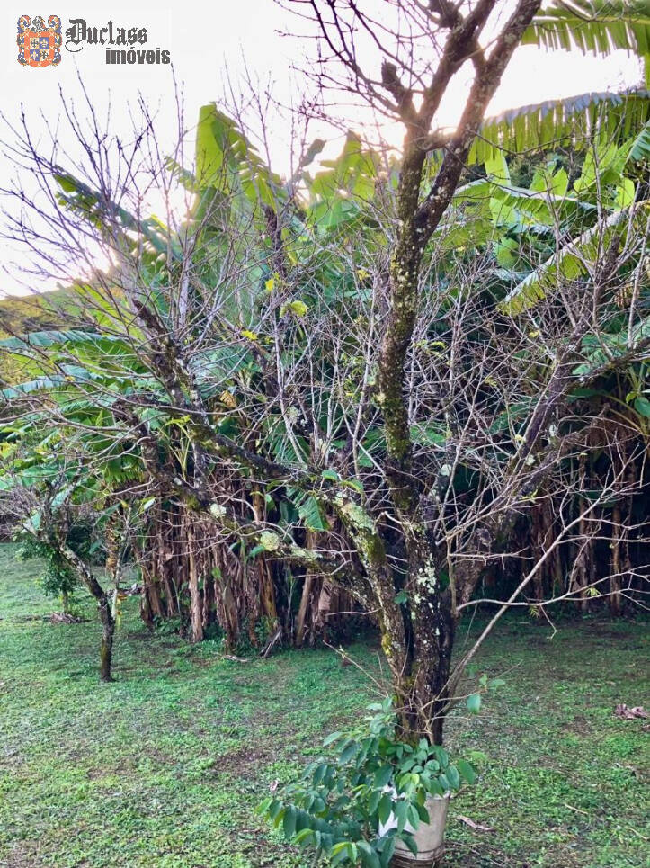 Fazenda à venda com 2 quartos, 200m² - Foto 38