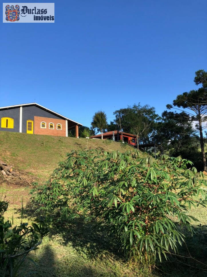 Fazenda à venda com 2 quartos, 200m² - Foto 39