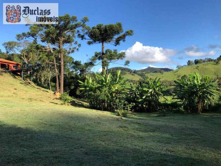 Fazenda à venda com 2 quartos, 200m² - Foto 40