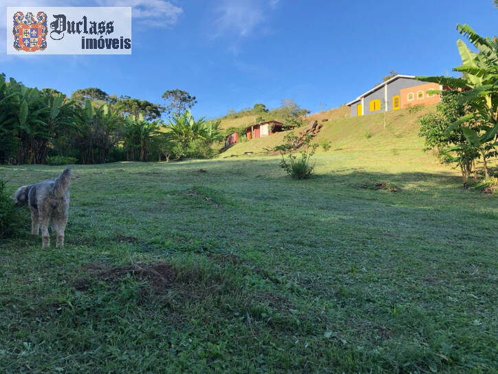 Fazenda à venda com 2 quartos, 200m² - Foto 42