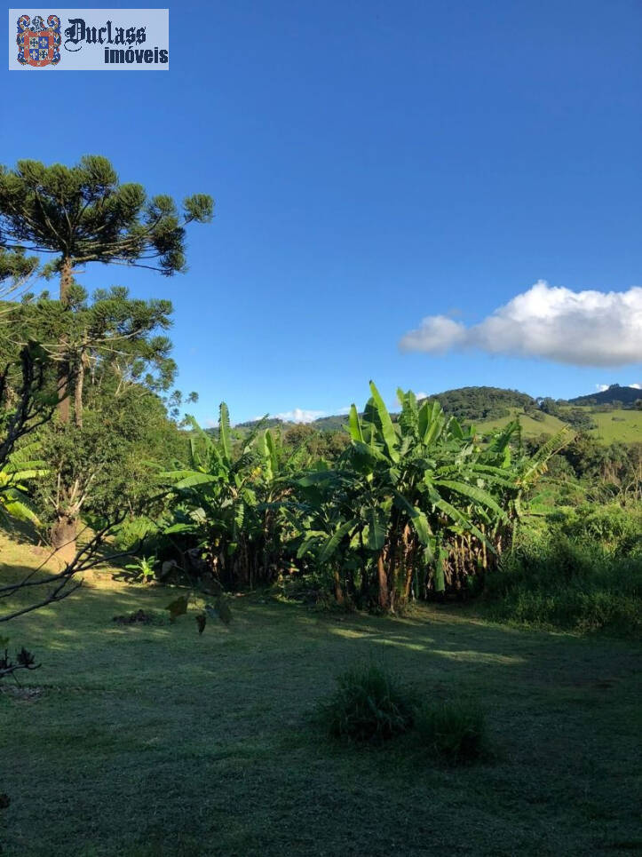 Fazenda à venda com 2 quartos, 200m² - Foto 46