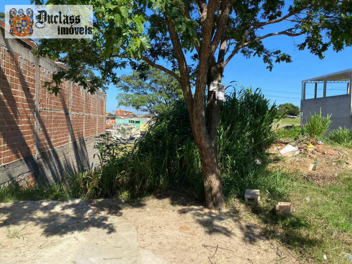 Terreno à venda, 250m² - Foto 2