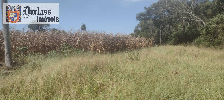 Terreno à venda, 40000m² - Foto 7