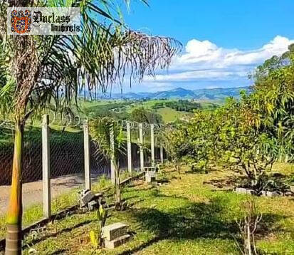 Fazenda à venda com 2 quartos, 3000m² - Foto 14