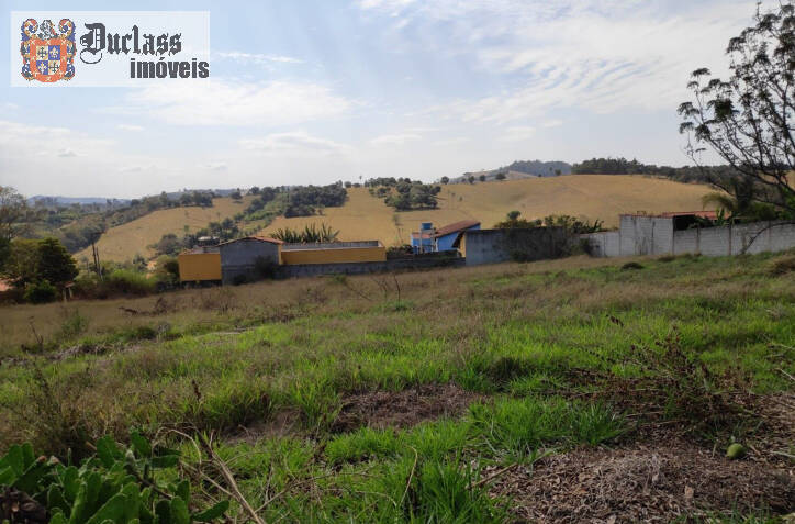 Terreno à venda, 3000m² - Foto 2