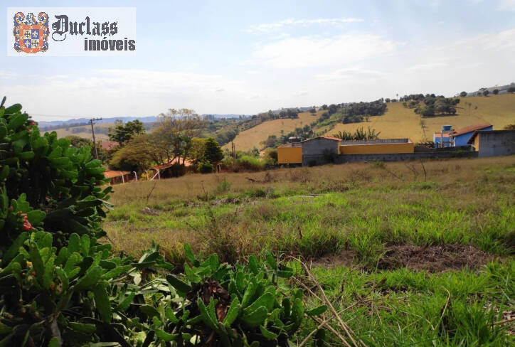 Terreno à venda, 3000m² - Foto 3