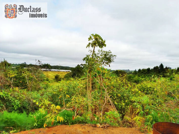 Fazenda à venda com 3 quartos, 207m² - Foto 20