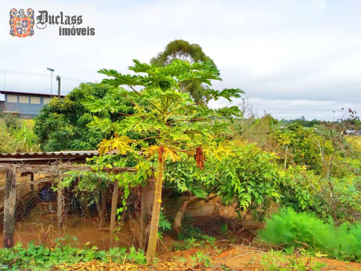 Fazenda à venda com 3 quartos, 207m² - Foto 21