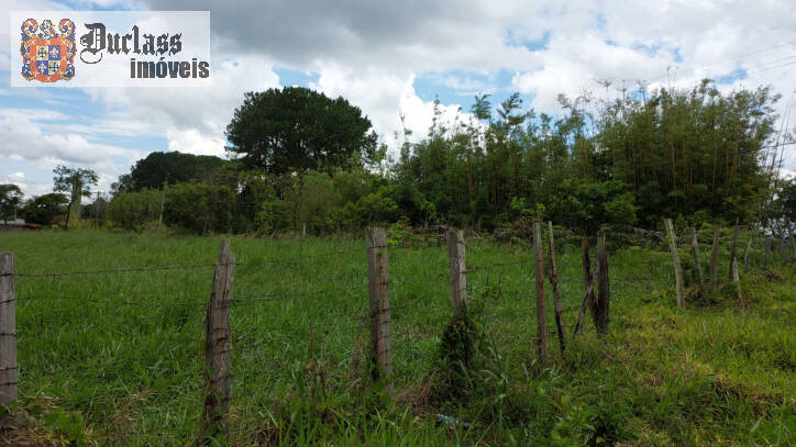 Terreno à venda, 60000m² - Foto 3