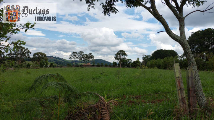 Terreno à venda, 60000m² - Foto 11