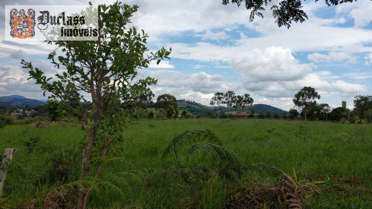 Terreno à venda, 60000m² - Foto 12