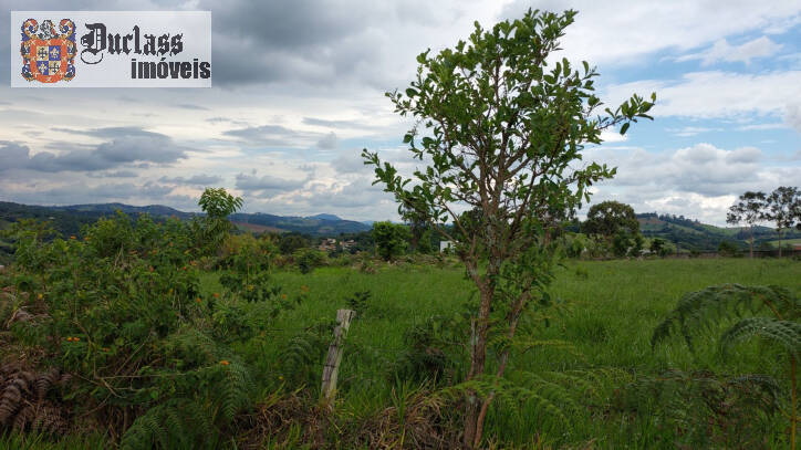 Terreno à venda, 60000m² - Foto 13