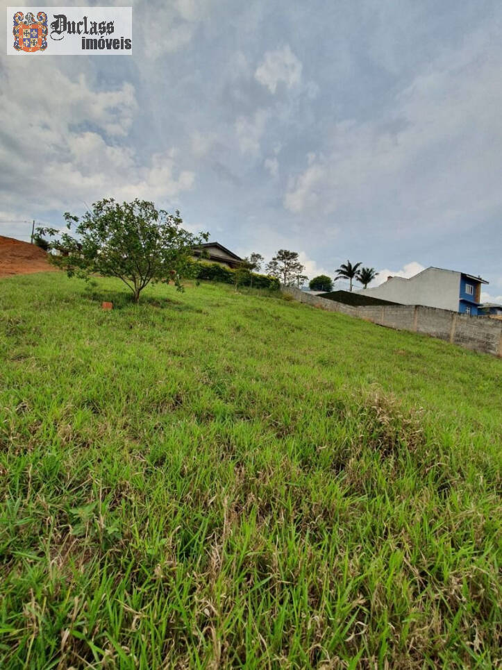 Fazenda à venda com 3 quartos, 120m² - Foto 33