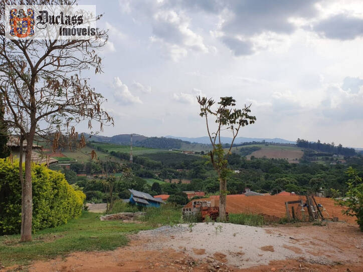 Fazenda à venda com 3 quartos, 120m² - Foto 38