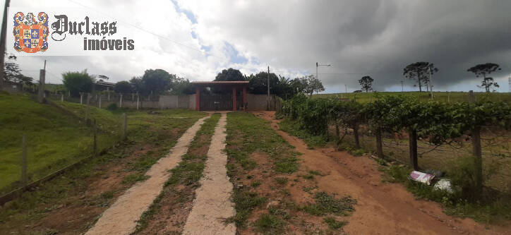 Fazenda à venda com 3 quartos, 300m² - Foto 4