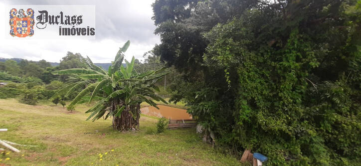 Fazenda à venda com 3 quartos, 300m² - Foto 30