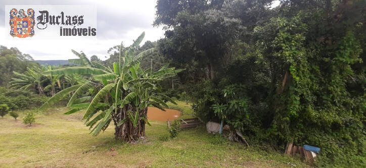 Fazenda à venda com 3 quartos, 300m² - Foto 31