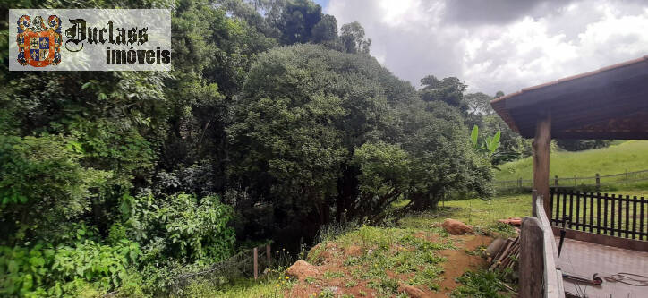 Fazenda à venda com 3 quartos, 300m² - Foto 32