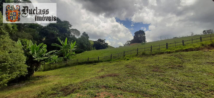 Fazenda à venda com 3 quartos, 300m² - Foto 35