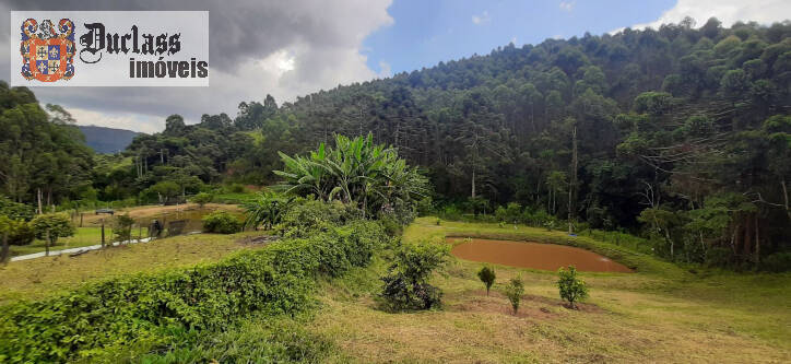 Fazenda à venda com 3 quartos, 300m² - Foto 63