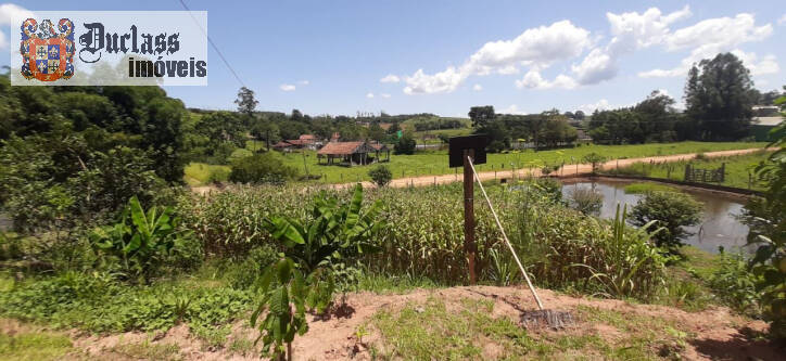 Fazenda à venda com 3 quartos, 150m² - Foto 13