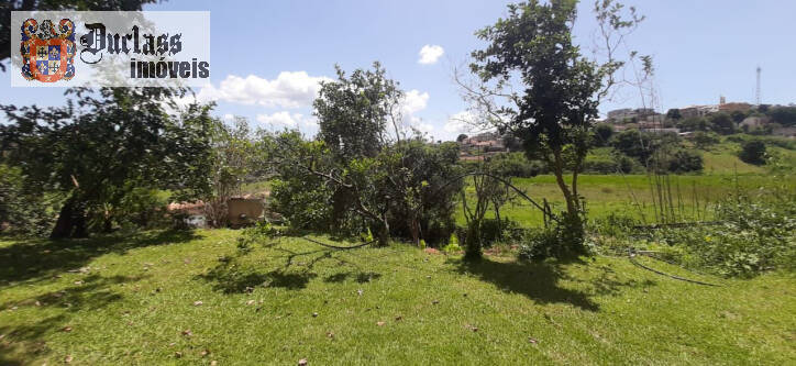 Fazenda à venda com 3 quartos, 150m² - Foto 20